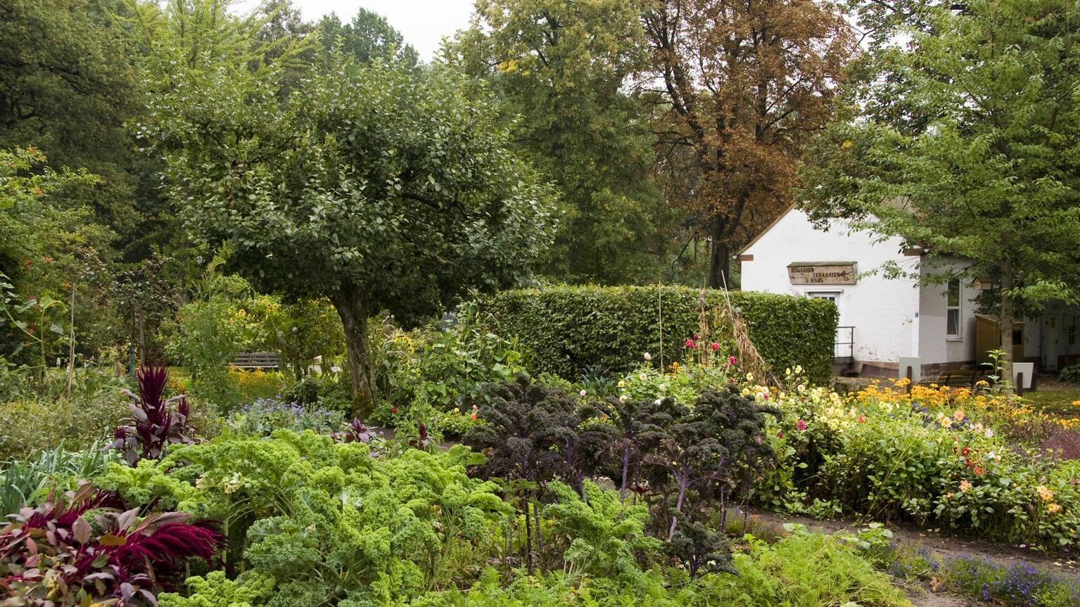 Botanischer Garten Hotel an der Oper Chemnitz